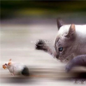 北京慰Plan按摩网带您了解中国文化——后来居上1 北京慰Plan按摩网带您了解中国文化——后来居上1