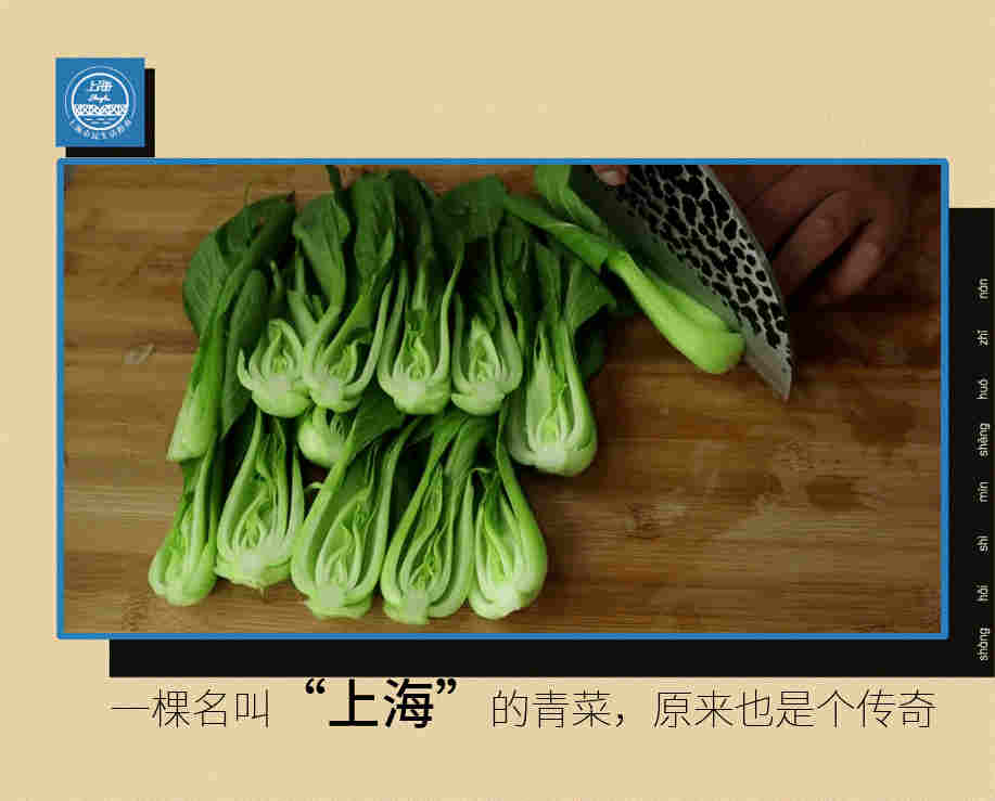 为什么最好的养生保健蔬菜是：上海青1