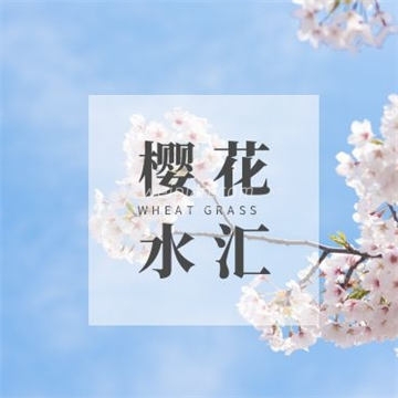 樱花水汇