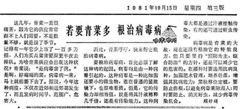 为什么最好的养生保健蔬菜是：上海青3