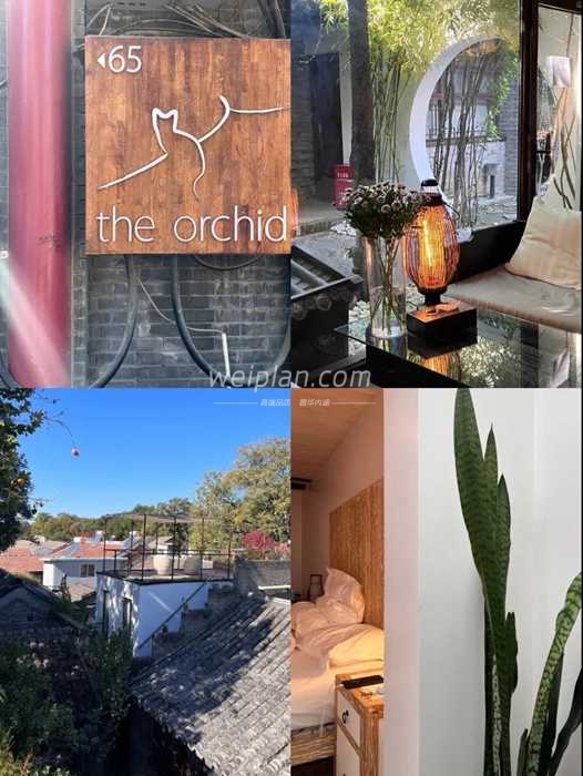 体验北京按摩保健后住进四合院里看人间烟火–The Orchid Hotel3