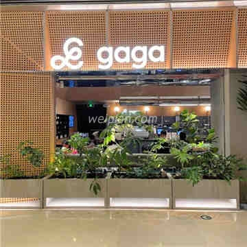 gaga(国贸店)