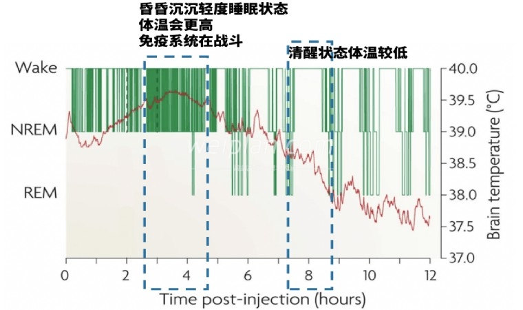 北京个人家庭式工作室教你怎么样恢复感染新冠肺炎之后的不适2