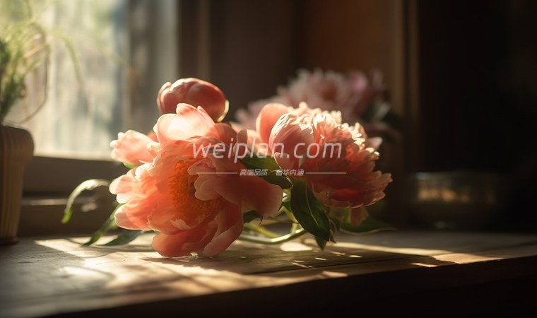 北京家庭式养生会所的价格，如何找到优质家庭式会所2