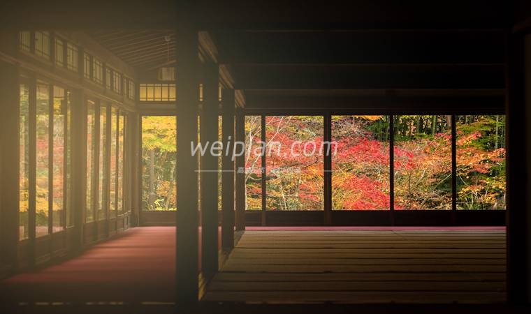 北京养生网告诉你夏季养生祛湿要注意什么1