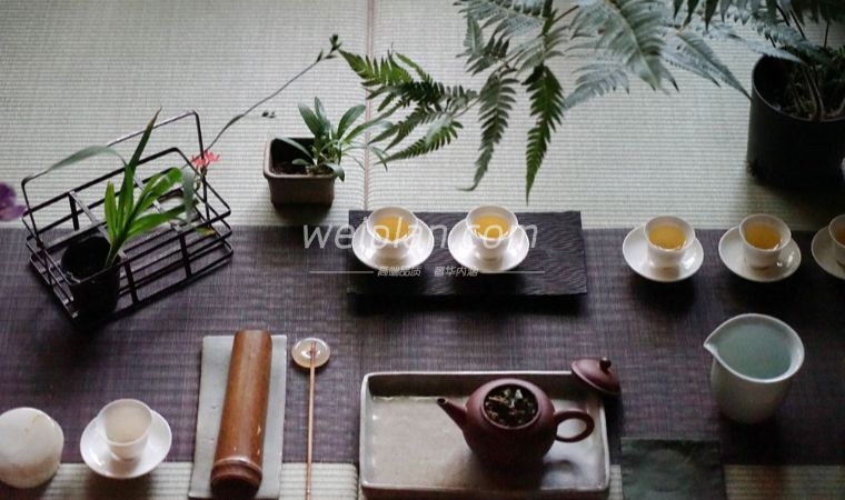 北京男士品茶文化：品味古朴养生之道2