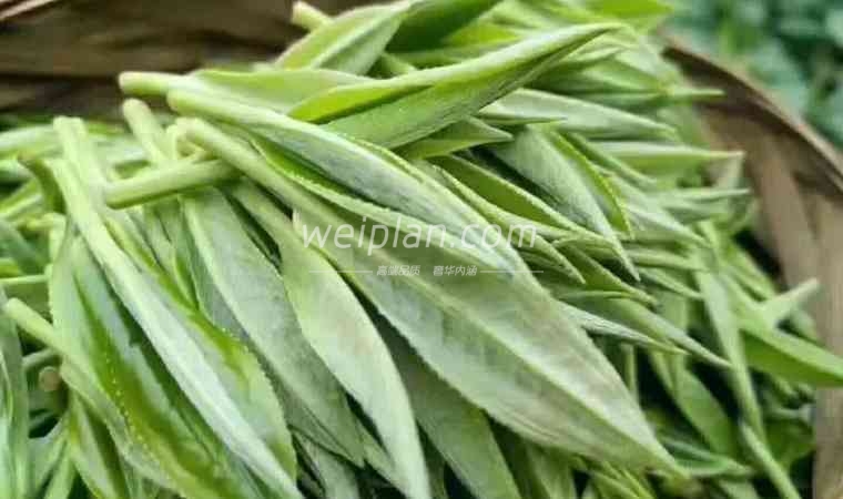 北京品茶到店海选：寻找城市中的独特茶香体验2