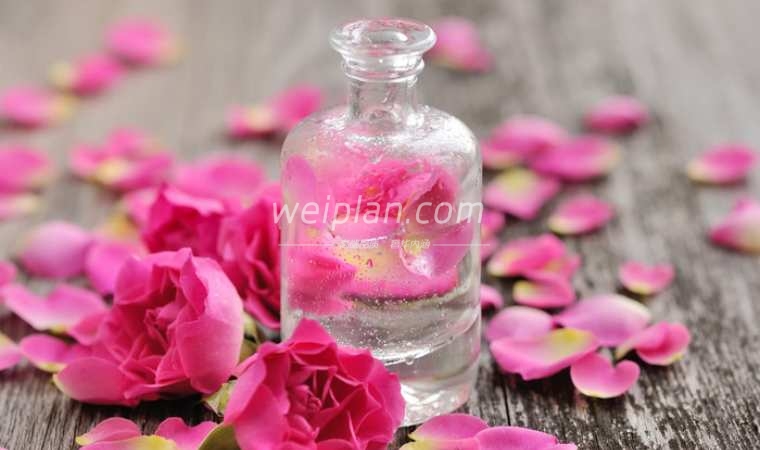 北京市场趋势：丝袜会所的经营挑战和合规性探讨
