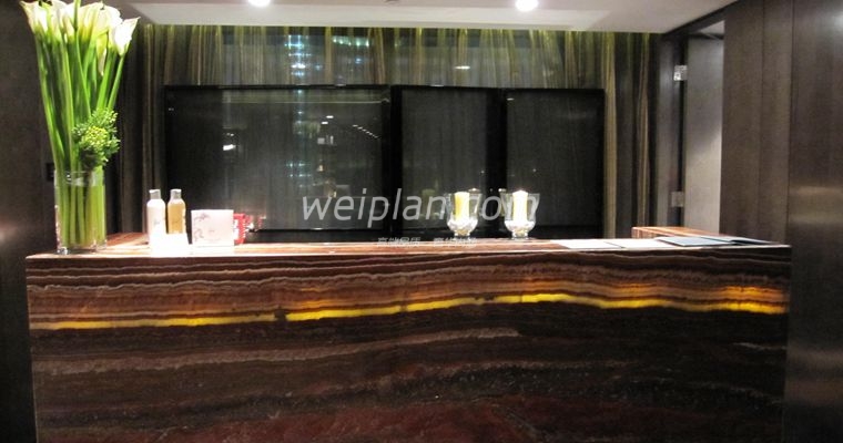 揭秘北京足疗店、足疗会所与足疗洗浴的现状及其潜在风险