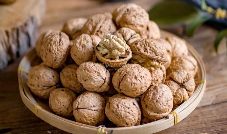 北京都市体验网分享：小小核桃藏大功效，低成本的养生密码
