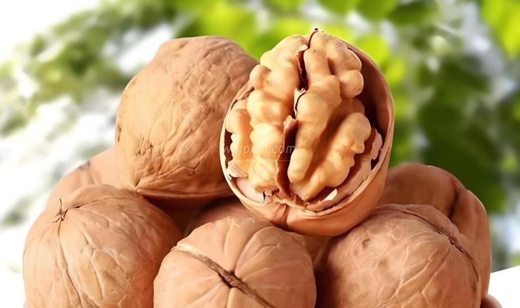 北京都市体验网分享：小小核桃藏大功效，低成本的养生密码3