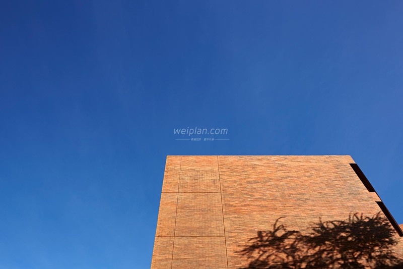 北京养生体验网–解锁适合国人的科学护骨方式1