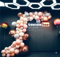 TreeNewBee树新蜂高端私影社