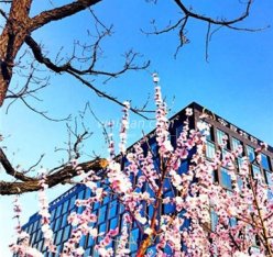 朗丽兹KING’S PARTY量贩式KTV(朗丽兹西山花园酒店)