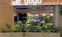 gaga(国贸店)