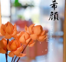希颜中式瘦身经络减肥塑形抗衰管理(东直门店)