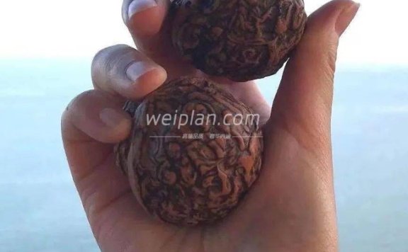 北京养生圈的家庭式妹子爱玩什么