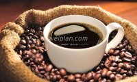 北京思足点评网为你讲述丁香茶的功效