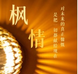 枫情养生