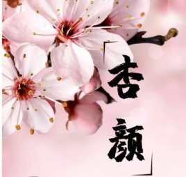 杏颜养生