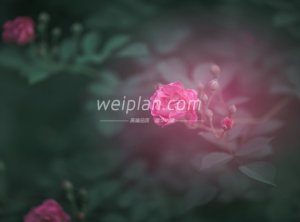 寻找男士专属的spa场所，享受男士护理服务