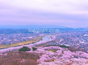 北京养生网推荐的夏季养生方法