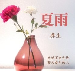 夏雨养生