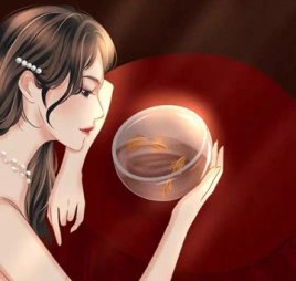 轩轩个人工作室