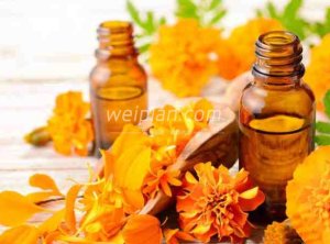 解析北京SPA中的臀部推拿：了解按摩方法与受欢迎程度