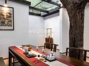 探寻北京个人品茶工作室的多元服务内容