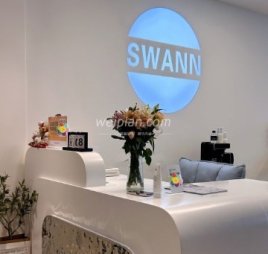 海菲秀L .DM . SWANN科技美肤
