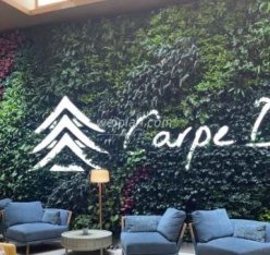 A+阿加汤宿（大悦城店）