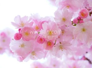 北京养生点评网分享的春捂方法