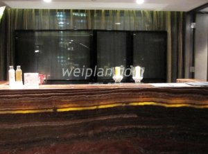 揭秘北京足疗店、足疗会所与足疗洗浴的现状及其潜在风险