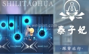 泰子妃十里桃花按摩足浴SPA