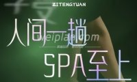 紫藤园·沉浸式采耳SPA