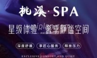 桃溪.采耳.养生spa