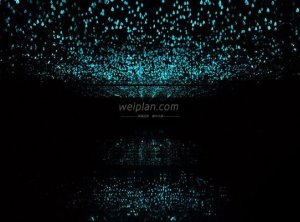 北京SPA体验避坑指南:如何辨别正规服务与擦边服务?