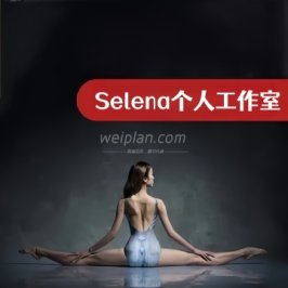 Selena个人工作室
