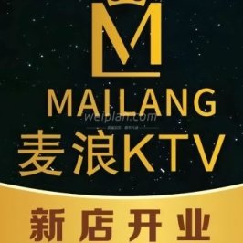 麦浪PARTY商务公馆