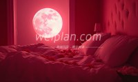 北京抓凤筋与抓龙筋有什么区别？新手怎么选更合适
